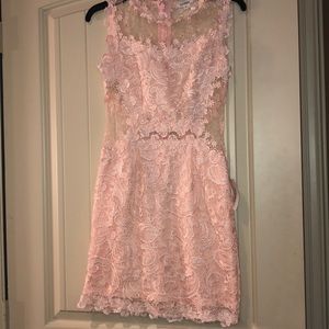 Pink Lacey dress